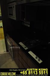 Icon (D2), Apartment #152400412
